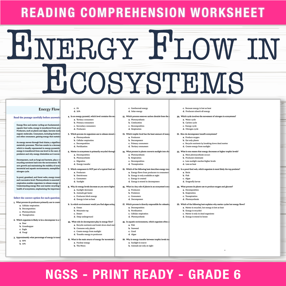 Grade 6 Science worksheet worksheet — 6th Grade Science | Energy Flow in Ecosystems Worksheet (PDF + Answer Key) — page 1