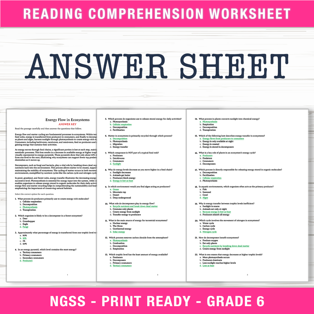 Grade 6 Science worksheet worksheet — 6th Grade Science | Energy Flow in Ecosystems Worksheet (PDF + Answer Key) — page 2