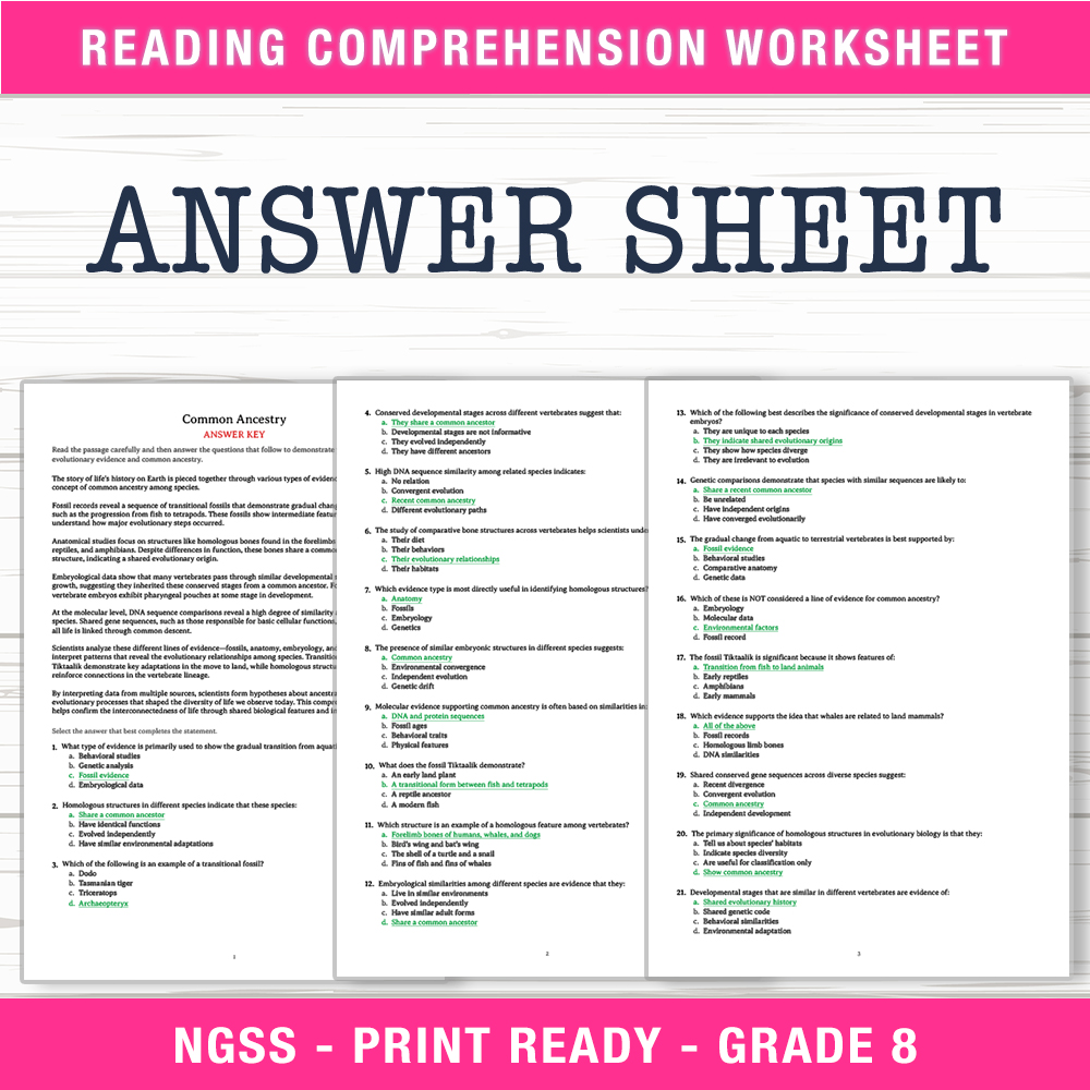 Grade 8 Science worksheet worksheet — Grade 8 Science – Common Ancestry Worksheet (PDF + Answer Key) — page 2