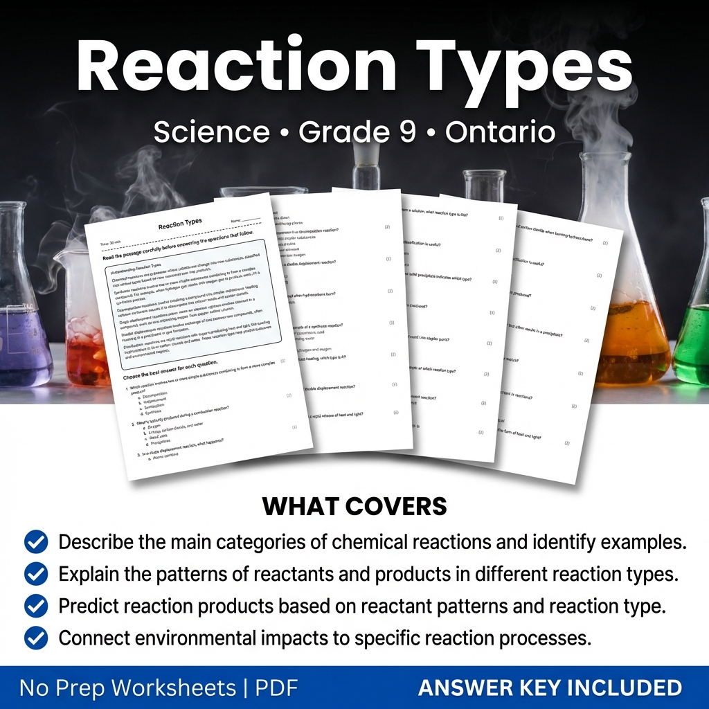 Reaction Types Grade 9 Science Worksheet | Ontario Standard