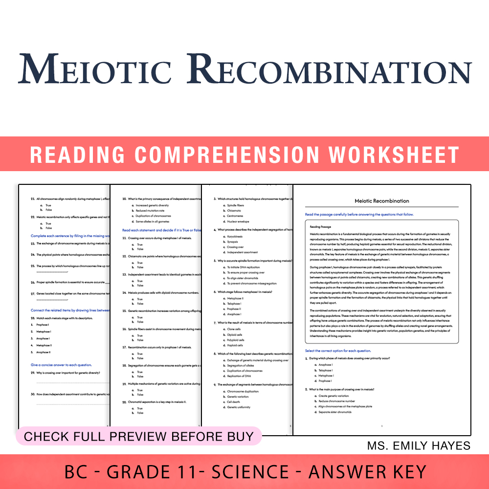 Grade 11 Science worksheet worksheet — Grade 11 Science | Meiotic Recombination Printable Worksheet (PDF + Answer Key) — p…