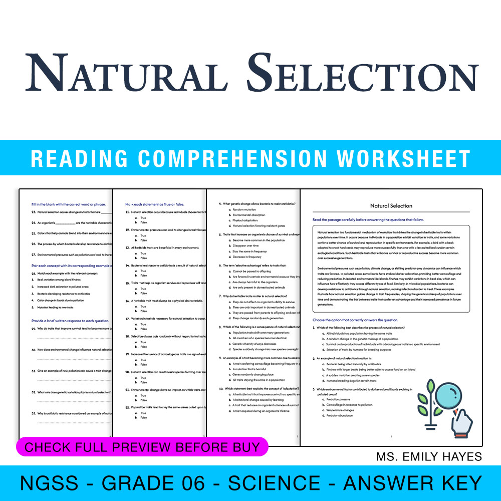 Grade 6 Science worksheet — Grade 6 Science | Natural Selection Worksheet (PDF + Answer Key) — page 1
