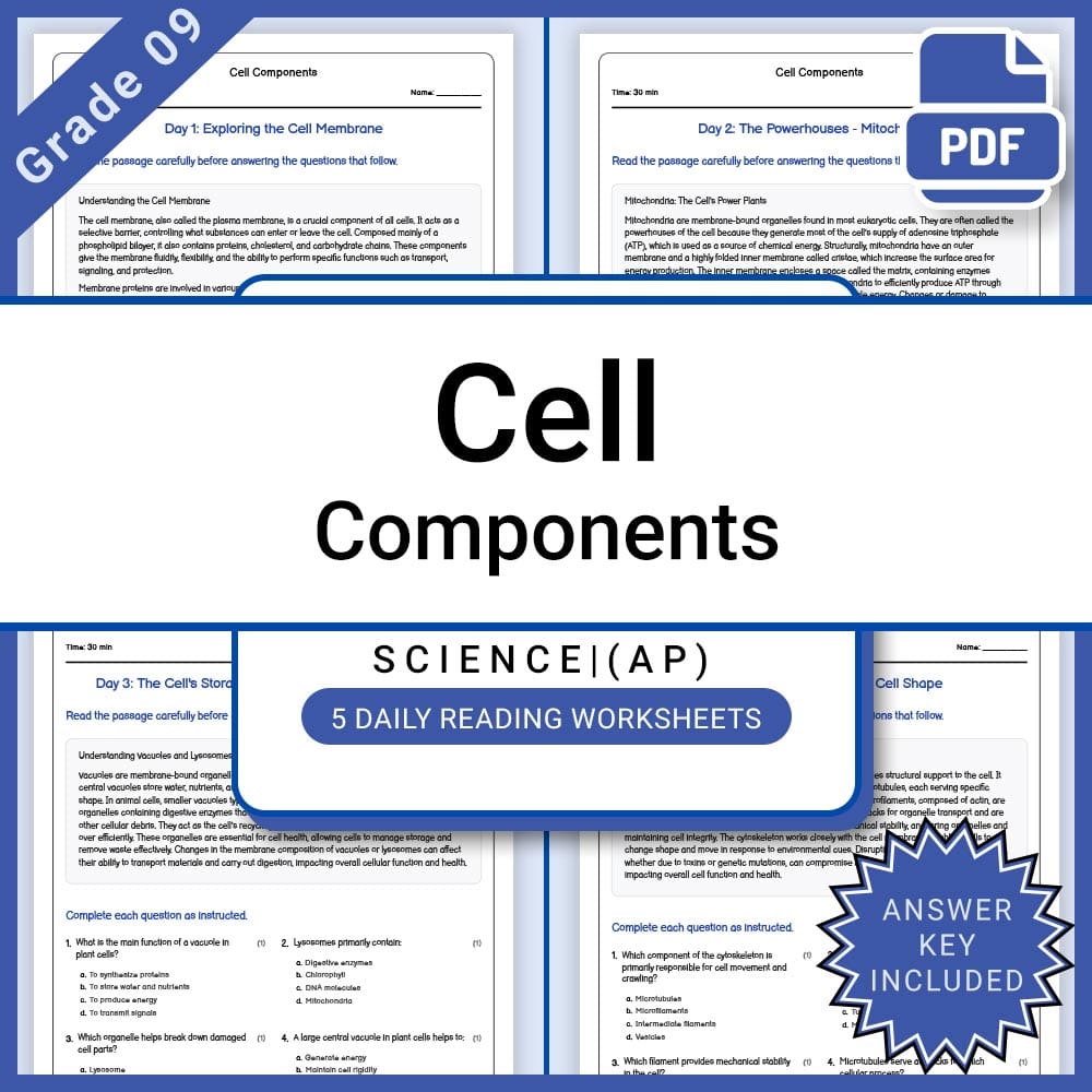Grade 9 Science Motion and Force Full Year Bundle | STEM Curriculum — included worksheet 37