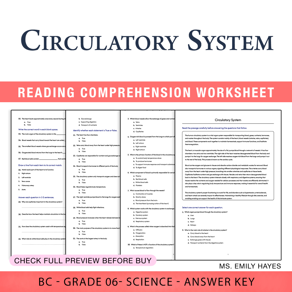 Grade 6 Science worksheet worksheet — 6th Grade Science | Circulatory System Worksheet (PDF+ Answer Key) — page 1