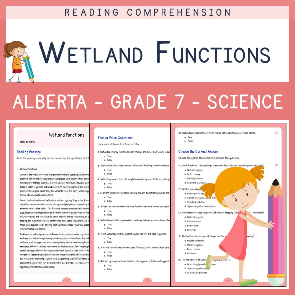 Grade 7 Science worksheet elena worksheet — Grade 7 Science  | Wetland Functions Worksheet Elena | Alberta Standards — page 1