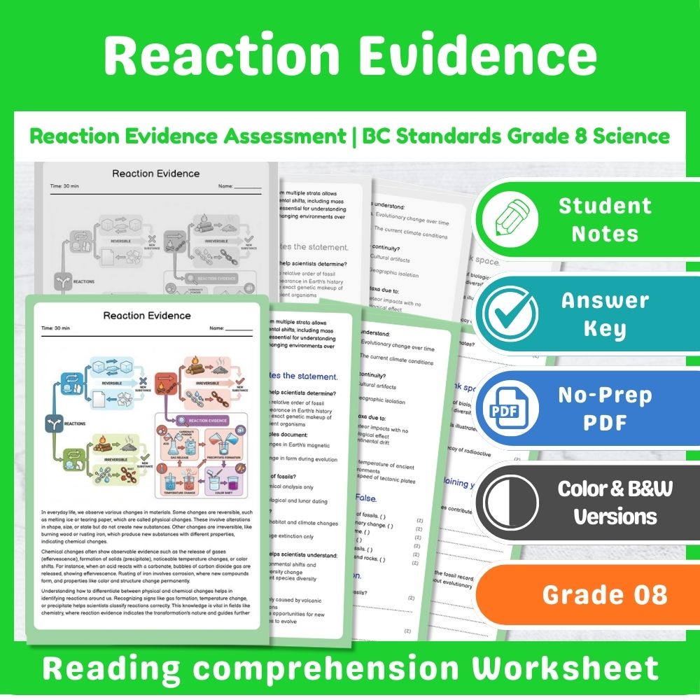 Grade 8 Science Lesson – Reaction Types & Evidence Assessment Bundle — included worksheet 8
