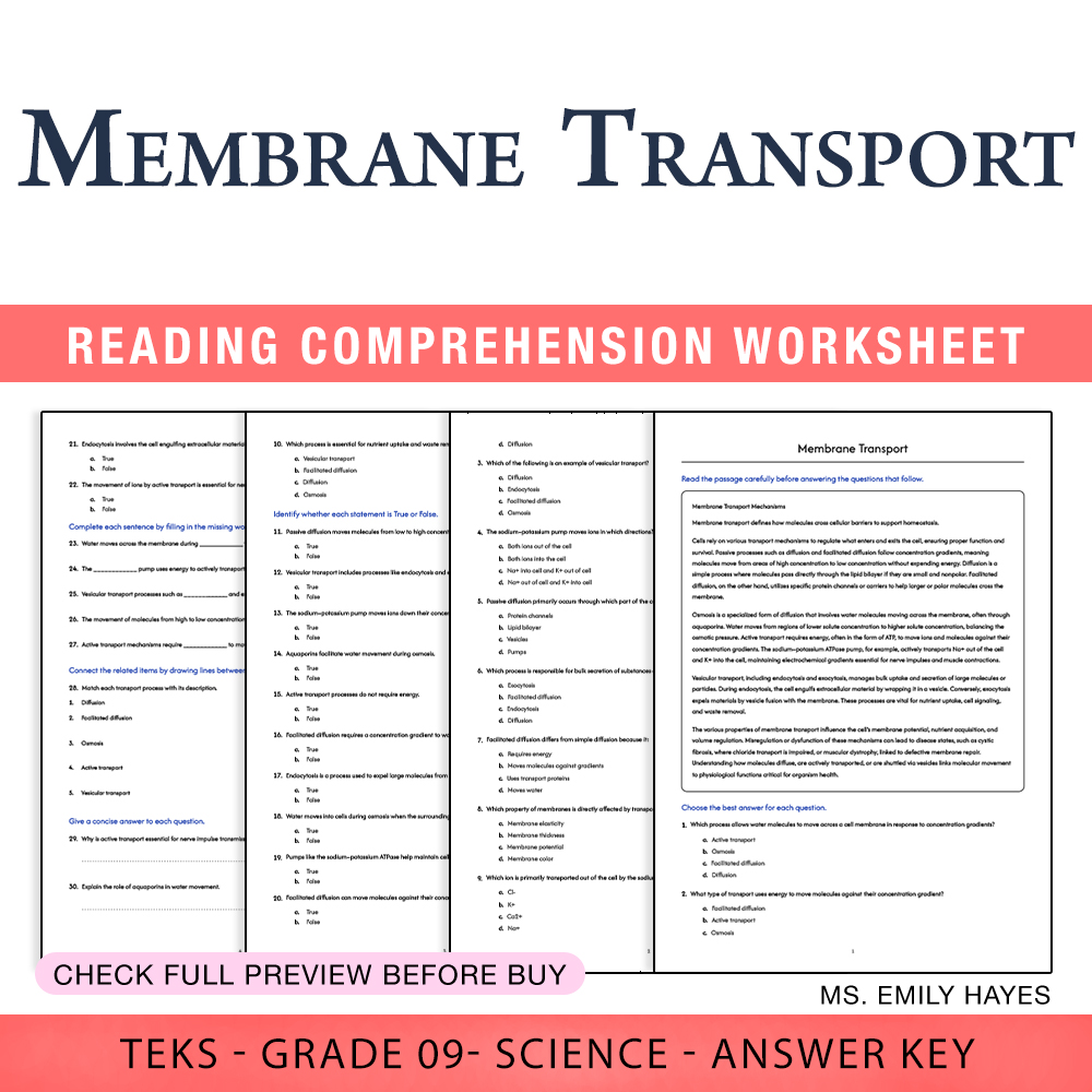Grade 9 Science worksheet worksheet — 9th Grade Science | Membrane Transport Worksheet (PDF+ Answer Key) — page 1