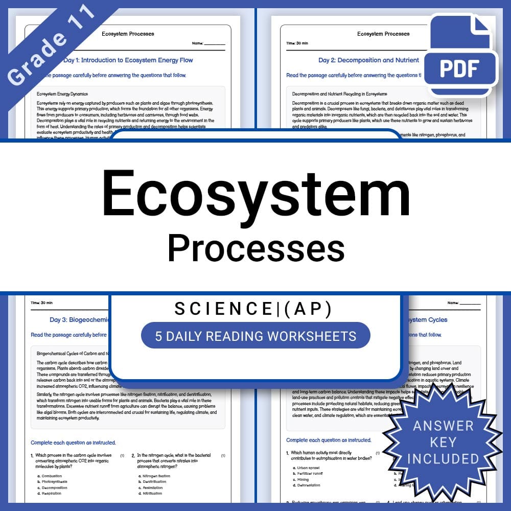 Grade 11 Science daily reading worksheet worksheet — Grade 11 Science – Ecosystem Processes Daily Reading Worksheet & Answ…