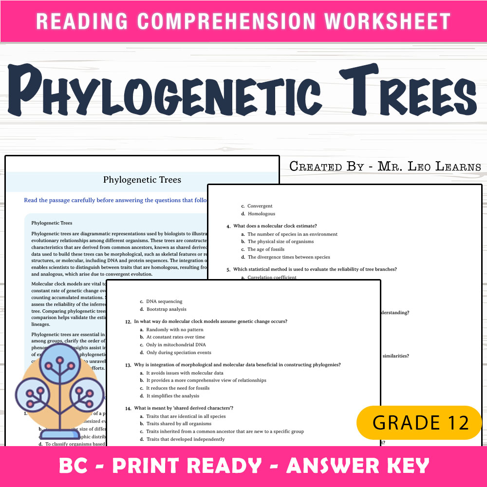 Grade 12 Science worksheet mcq paper worksheet — Grade 12 Science — Worksheet MCQ Paper for Mastering Phylogenetic Trees —…