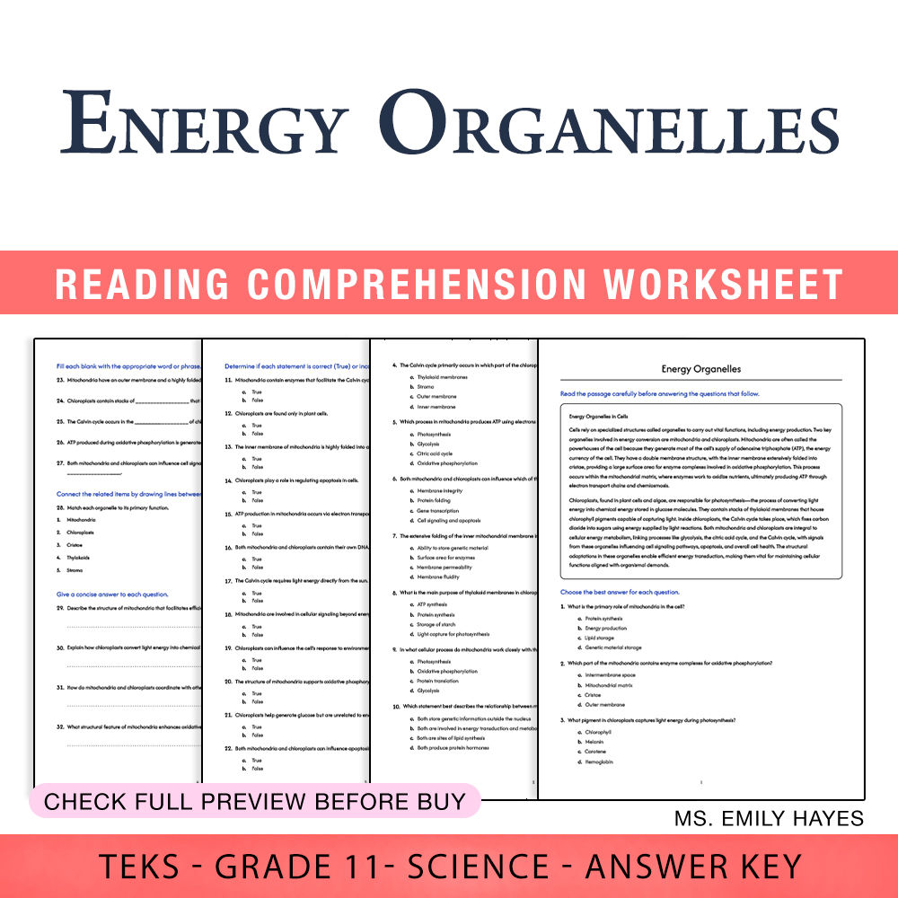 Grade 11 Science worksheet worksheet — Grade 11 Science | Energy Organelles Worksheet (PDF+ Answer Key) — page 1