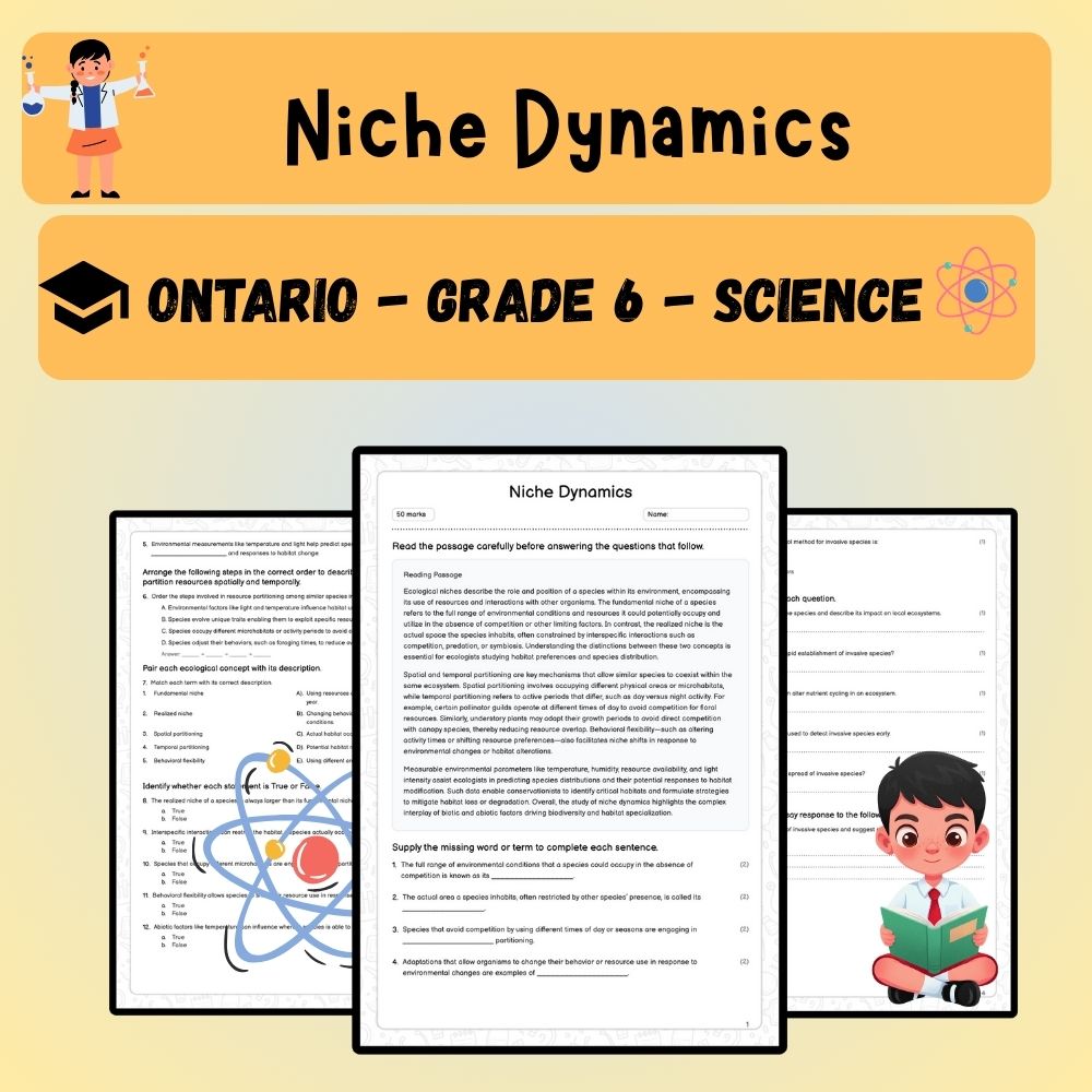 Grade 6 Science worksheet worksheet — 6th Grade Science | Understanding Ecological Niches Worksheet (PDF + Answer Key) — p…