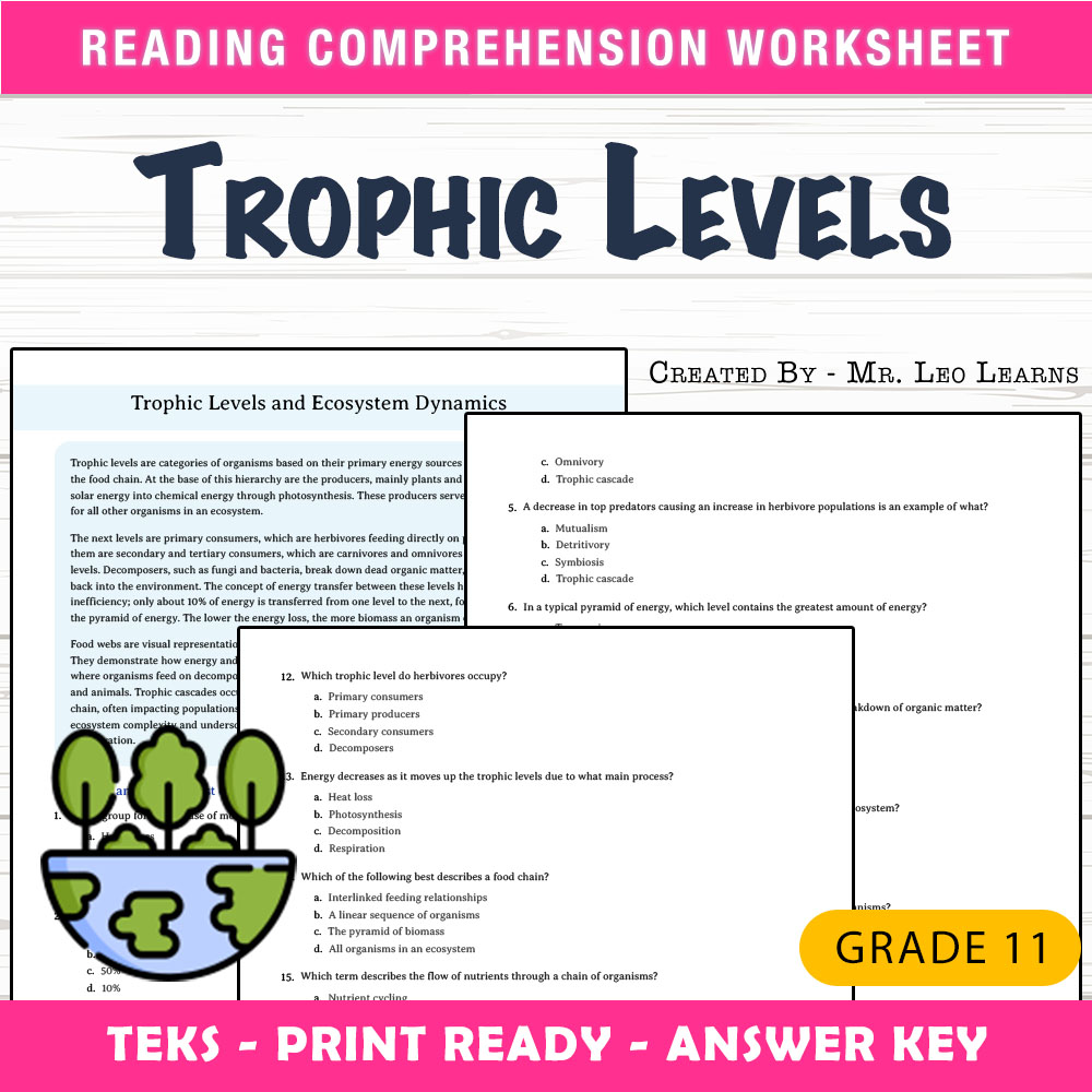 Grade 11 Science worksheet worksheet — Grade 11 Science — Trophic Levels & Ecosystem Dynamics Worksheet for Mastery — page 1
