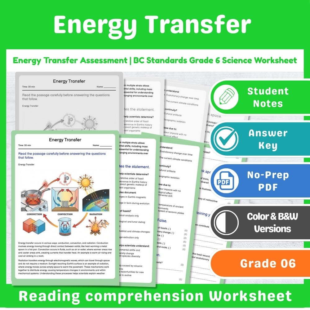 Grade 6 Science Assessment | Wave Interactions & Light Physics Mini Bundle — included worksheet 14