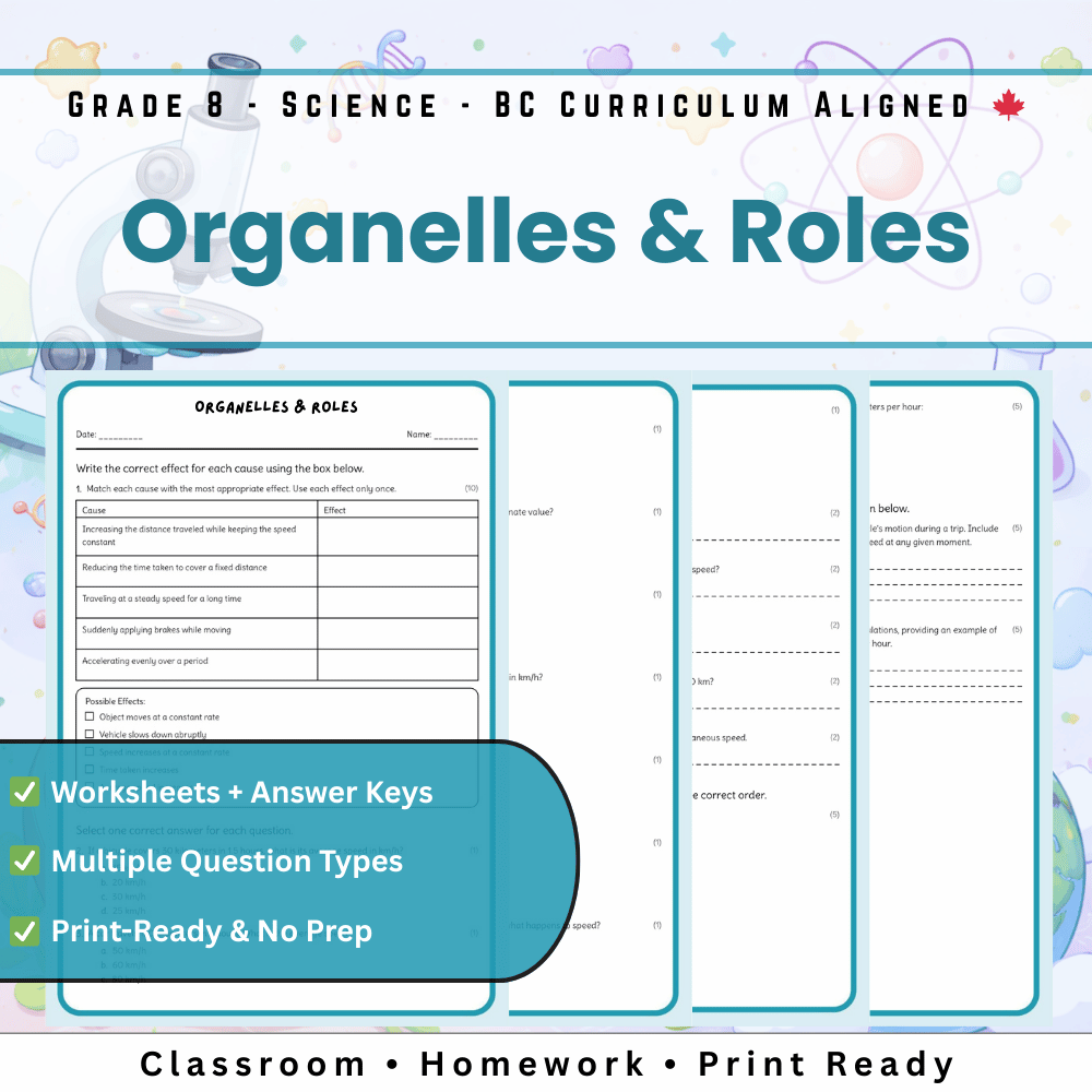 Grade 8 Science | Organelles & Roles Worksheet (PDF) with Answer Key