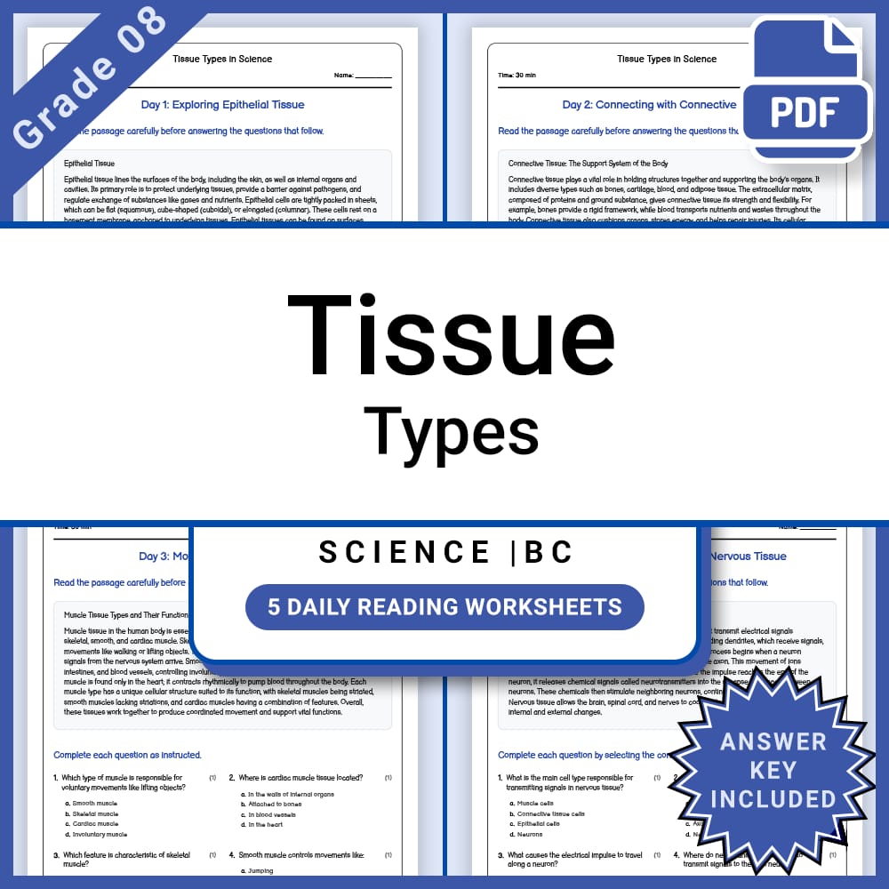 Grade 8 Science Lesson Group BC Framework | Daily Reading Worksheets — included worksheet 12