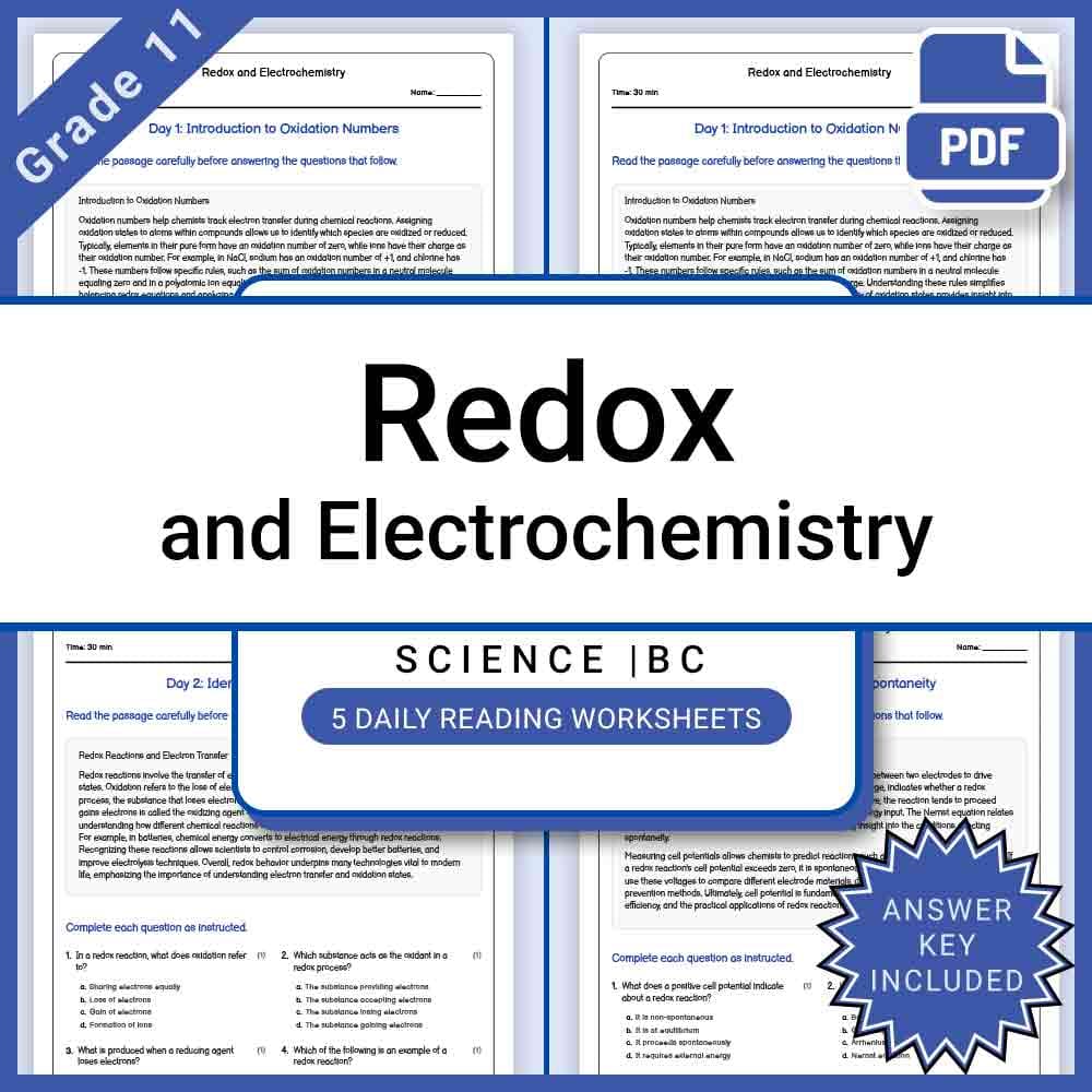 Grade 11 Science Lesson Group | BC Framework Daily Reading Worksheets — included worksheet 11