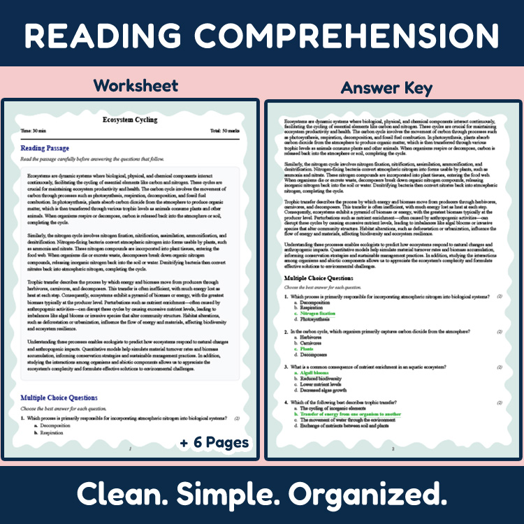 Grade 9 Science reading worksheets worksheet — Grade 9 Science | Ecosystem Cycling Reading Worksheet & Answer Key (PDF) —…