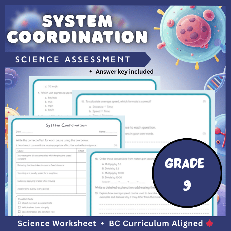 Grade 9 Science | System Coordination Worksheet (PDF) with Answer Key
