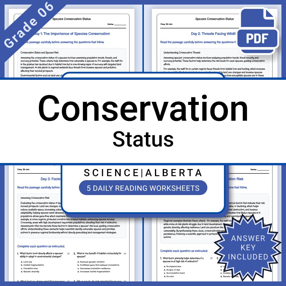 Grade 7 Science Lesson Group | Structural Engineering & Motion Worksheets — included worksheet 13