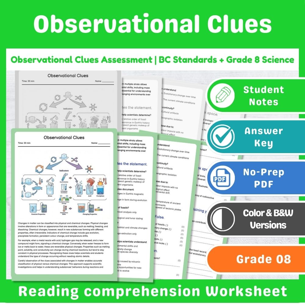 Grade 8 Science Lesson – Reaction Types & Evidence Assessment Bundle — included worksheet 9