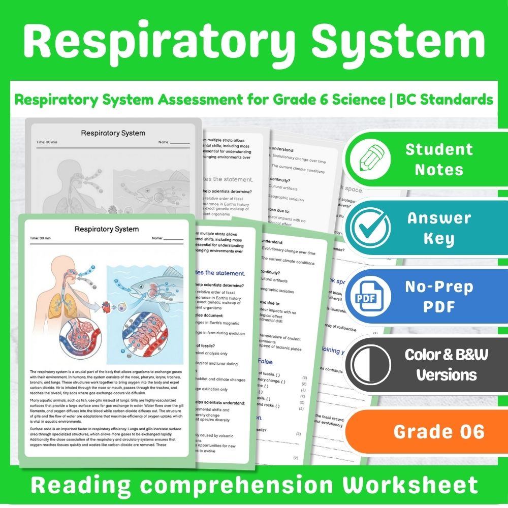 Grade 6 Science | Cell Structures & Systems Assessment – Standards-Aligned — included worksheet 10