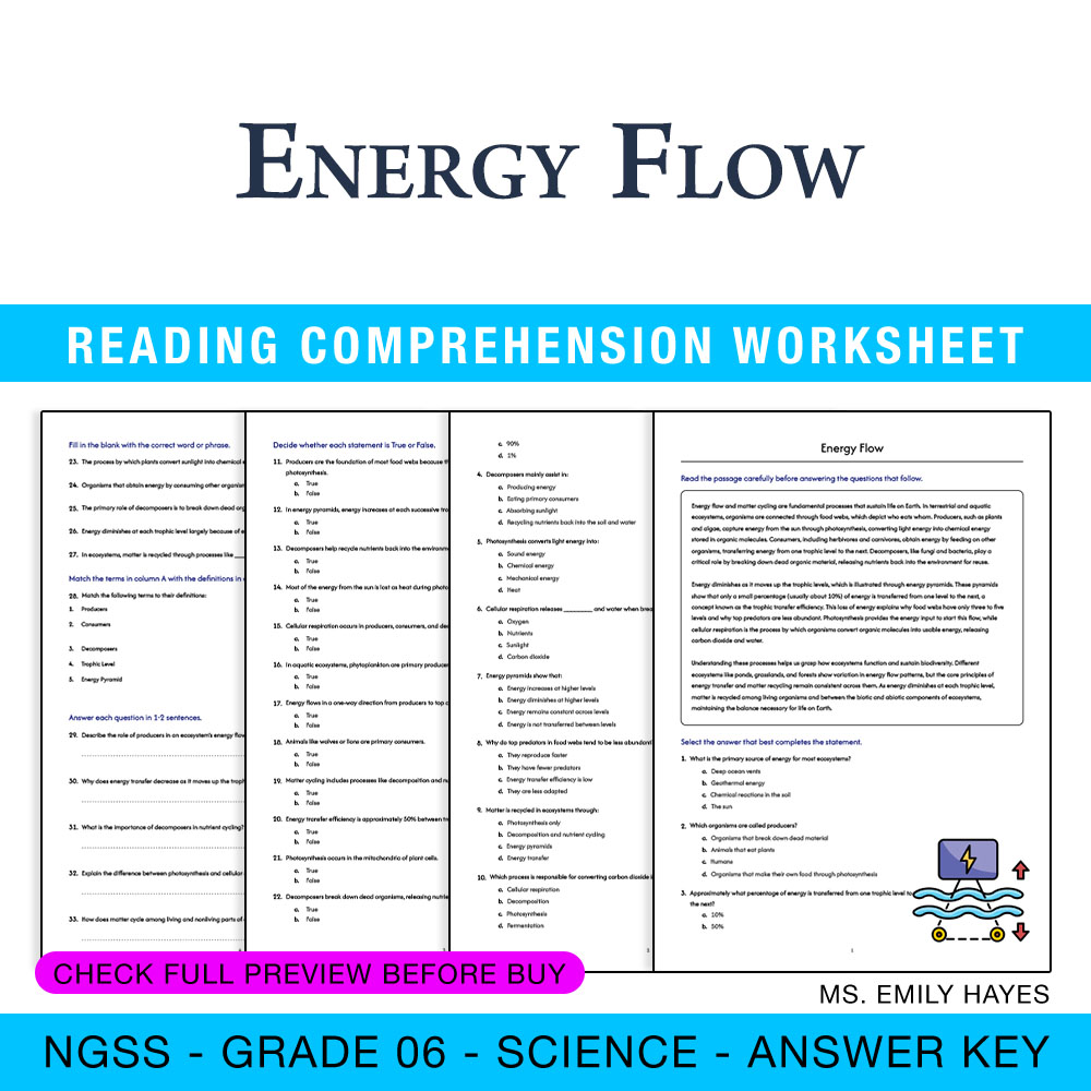 Grade 6 Science worksheet — 6th Grade Science | Energy Flow Worksheet (PDF +Answer Key) — page 1