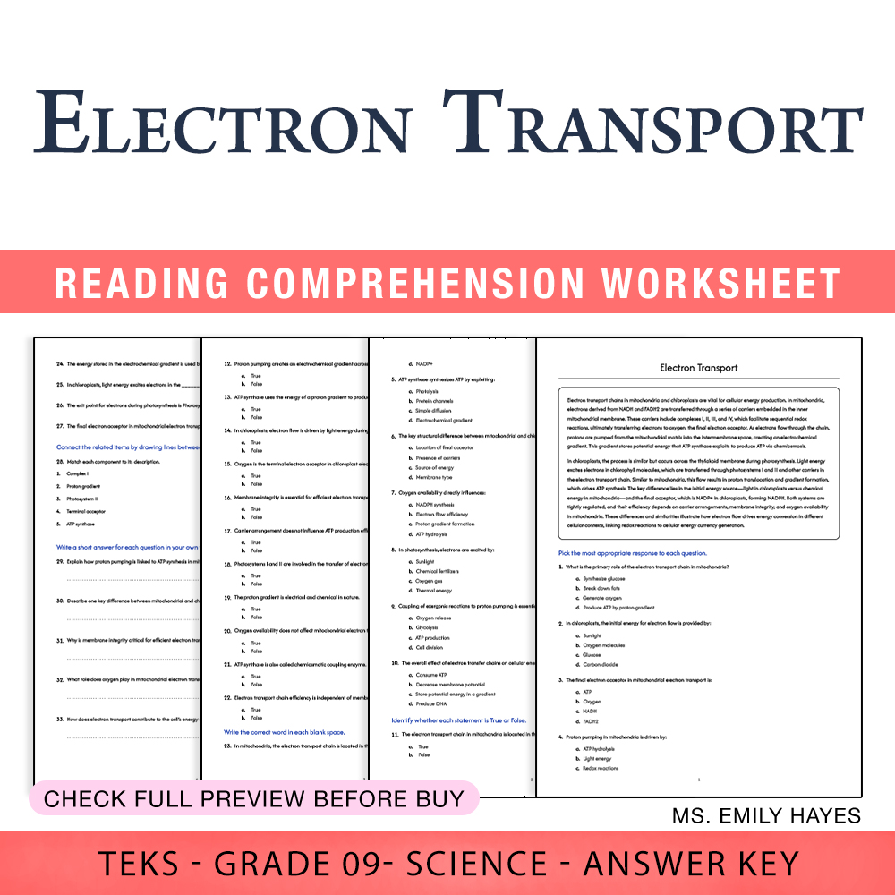 Grade 9 Science worksheet worksheet — 9th Grade Science | Electron Transport Worksheet (PDF+ Answer Key) — page 1