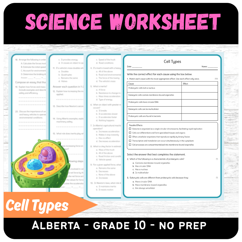 Grade 10 Science - Cell Types Worksheet (Worksheet) | Alberta Standards