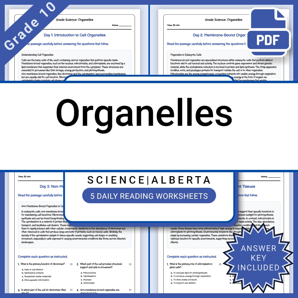 Grade 10 Science Full Year Bundle | Energy, Electricity, and Alberta Curriculum — included worksheet 54