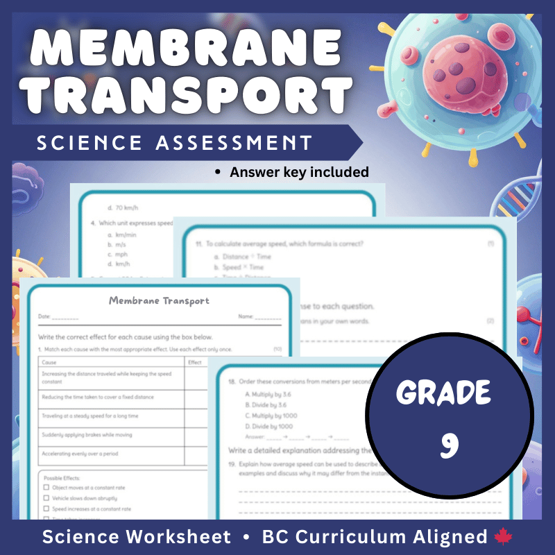 Grade 9 Science | Membrane Transport Worksheet (Answer Key) – BC Standards