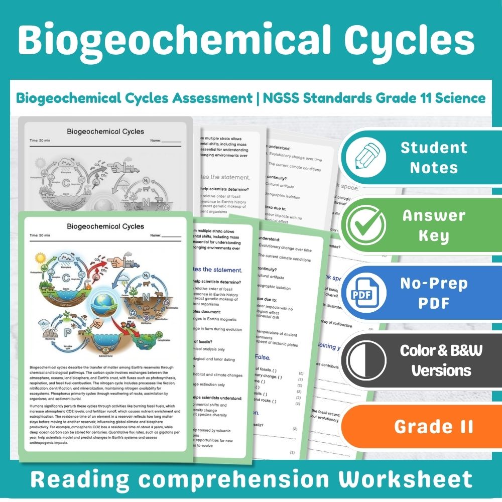 Grade 11 Science assessment worksheet — Biogeochemical Cycles Assessment | NGSS Standards Grade 11 Science