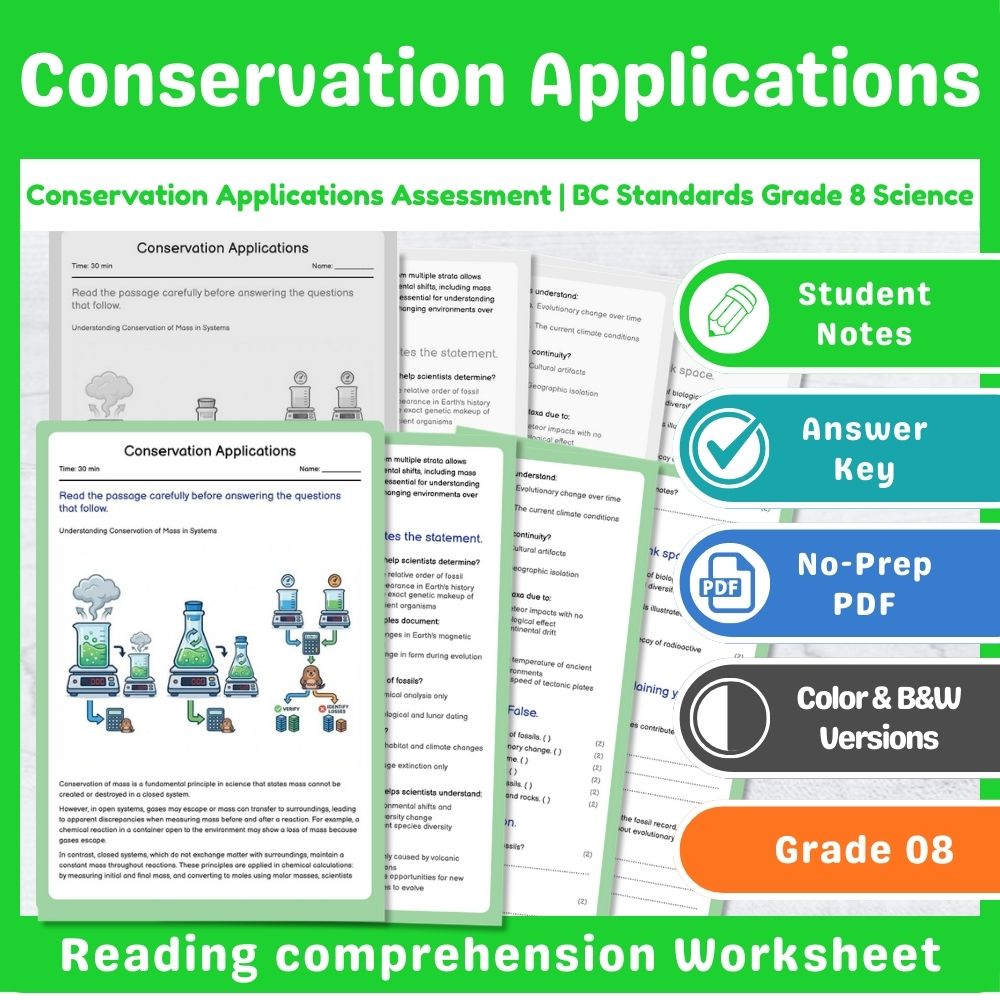 Grade 8 Science Lesson – Reaction Types & Evidence Assessment Bundle — included worksheet 10