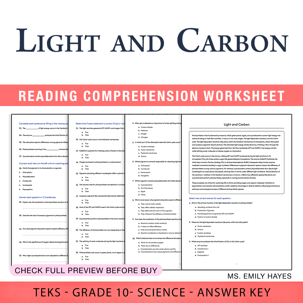 Grade 10 Science worksheet worksheet — 10th Grade Science | Light and Carbon Photosynthesis Worksheet (PDF+ Answer Key) —…