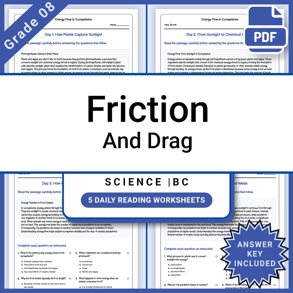 Grade 8 Science Lesson Group | Forces, Motion, Energy & More – Bundle — included worksheet 12