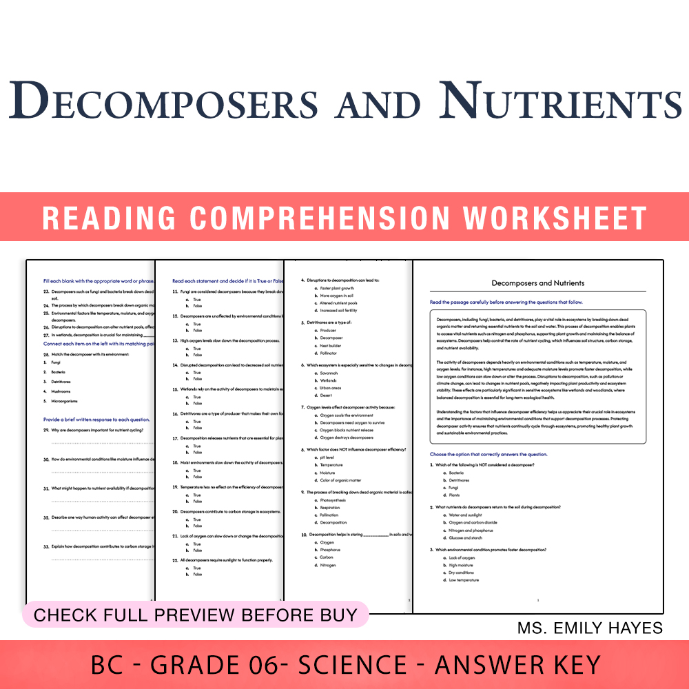 Grade 6 Science worksheet worksheet — 6th Grade Science | Decomposers and Nutrients Worksheet (PDF+ Answer Key) — page 1
