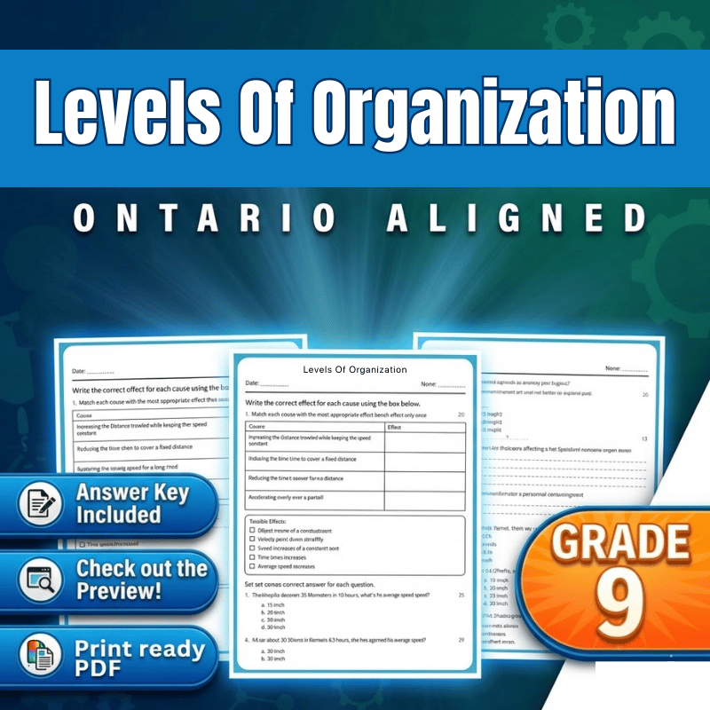 Grade 9 Science | Levels Of Organization Worksheet (Ontario, PDF)