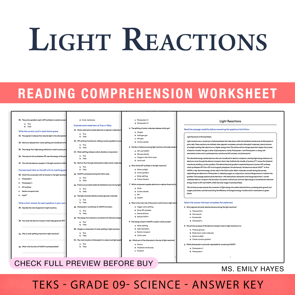 Grade 9 Science worksheet worksheet — 9th Grade Science | Light Reactions Worksheet (PDF+ Answer Key) — page 1