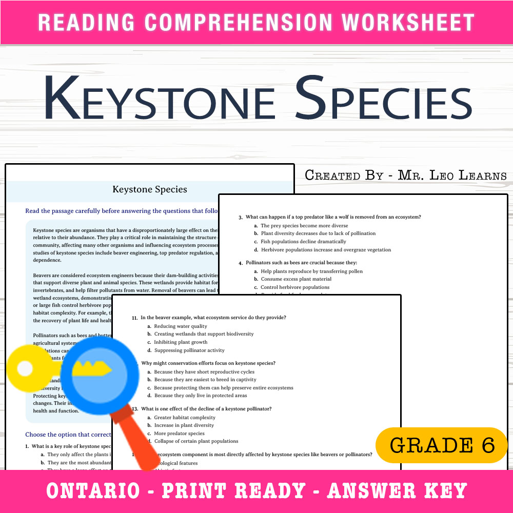 Grade 6 Science worksheet worksheet — Grade 6 Science – Keystone Species Worksheet for Understanding Ecosystems — page 1