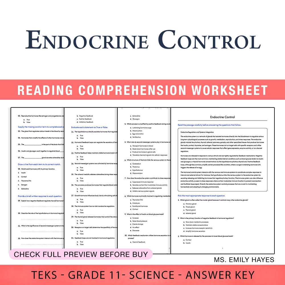 Grade 11 Science worksheet worksheet — 11th Grade Science | Endocrine Control Worksheet (PDF+ Answer Key) — page 1