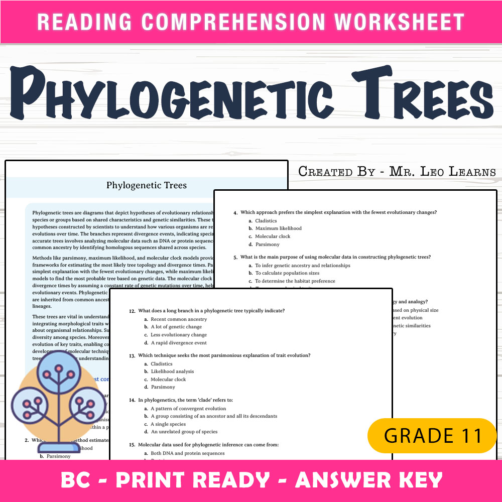 Grade 11 Science worksheet mcq paper worksheet — Grade 11 Science — Worksheet MCQ Paper for Mastering Phylogenetic Trees —…