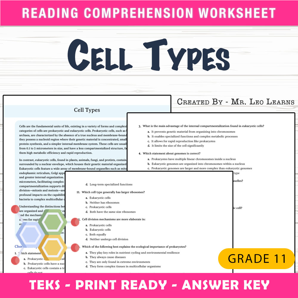 Grade 11 Science worksheet worksheet — Grade 11 Science – Cell Types Worksheet for Mastering Cell Diversity — page 1