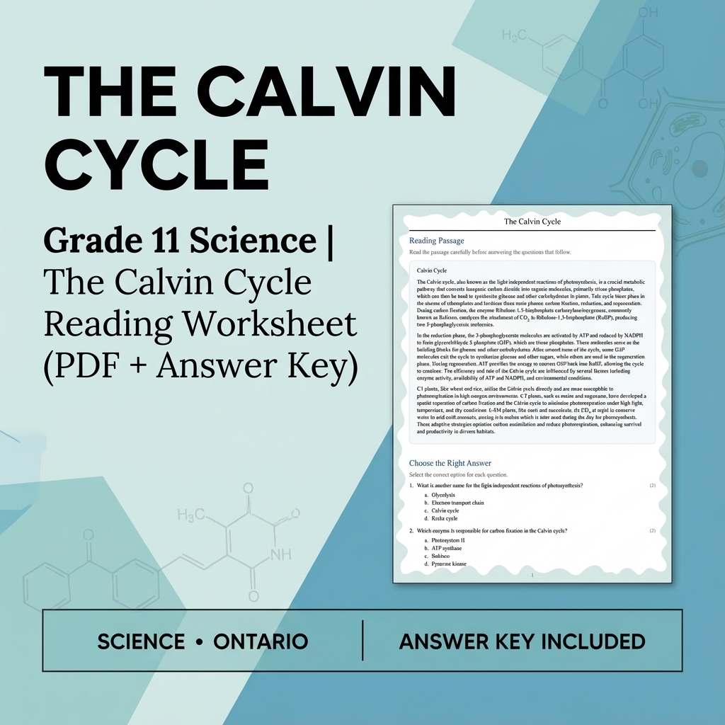 Grade 11 Science UNIT Bundle | Cellular Processes & Metabolic Pathways  — included worksheet 11
