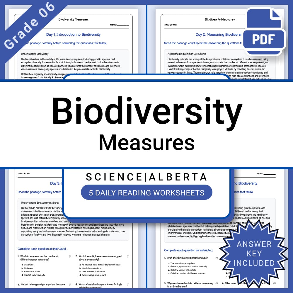 Grade 7 Science Full Year Curriculum Bundle | Structural Engineering & Energy — included worksheet 51