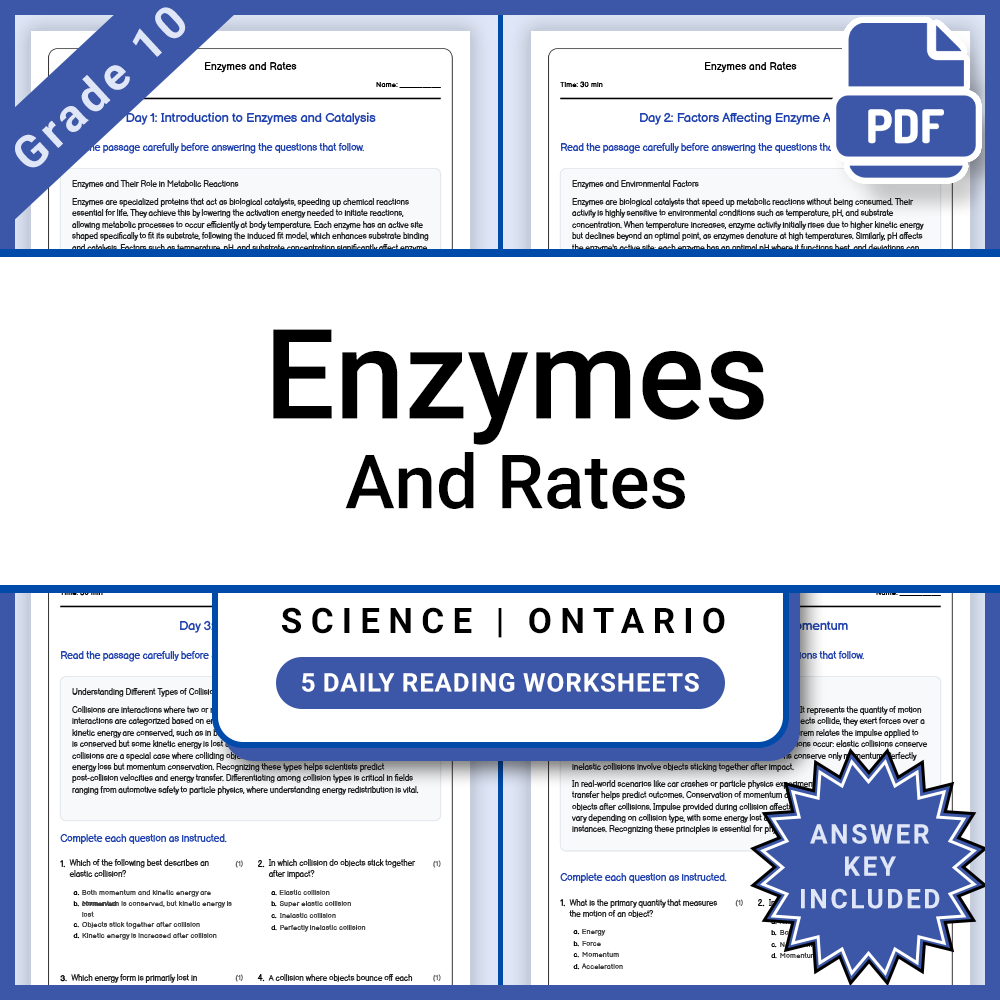 Grade 10 Science Lesson Bundle | Ontario Curriculum and Daily Reading Worksheets — included worksheet 11