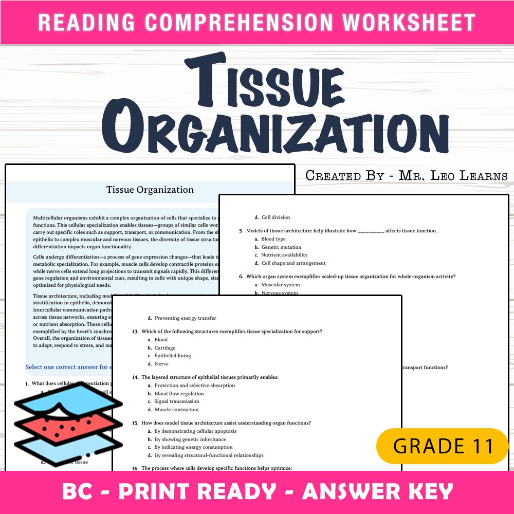 Grade 11 Science worksheet mcq paper worksheet — Grade 11 Science — Tissue Organization Worksheet MCQ Paper PDF + Answer K…