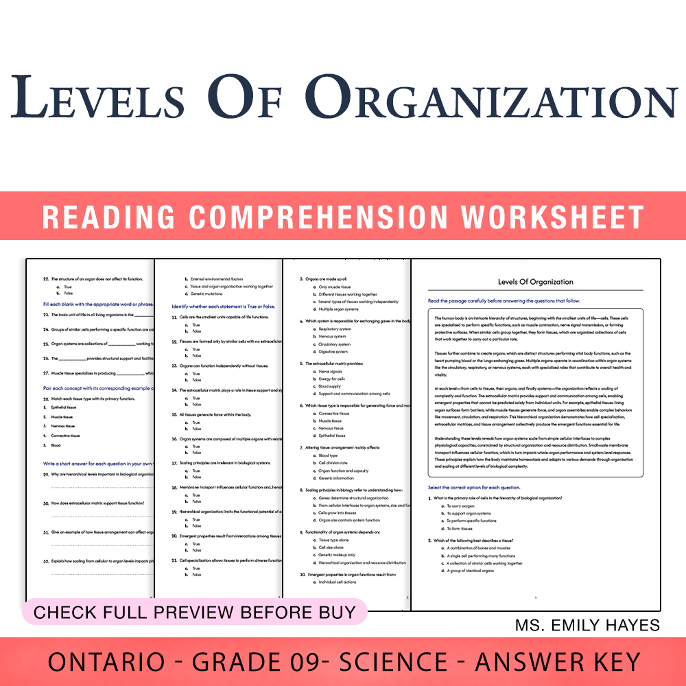 Grade 9 Science worksheet worksheet — 9th Grade Science | Levels Of Organization Worksheet (PDF + Answer Key) — page 1