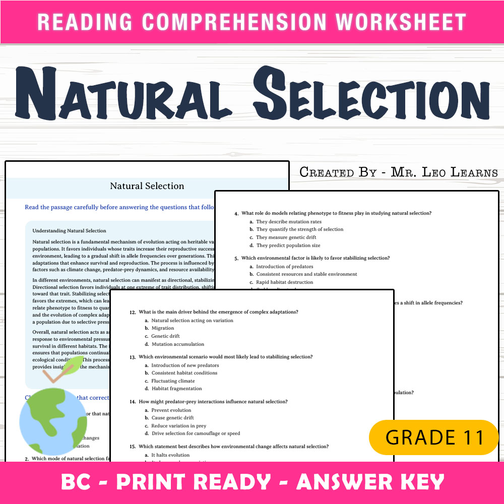 Grade 11 Science worksheet mcq paper worksheet — Grade 11 Science — Natural Selection Worksheet MCQ Paper for Mastery — pa…