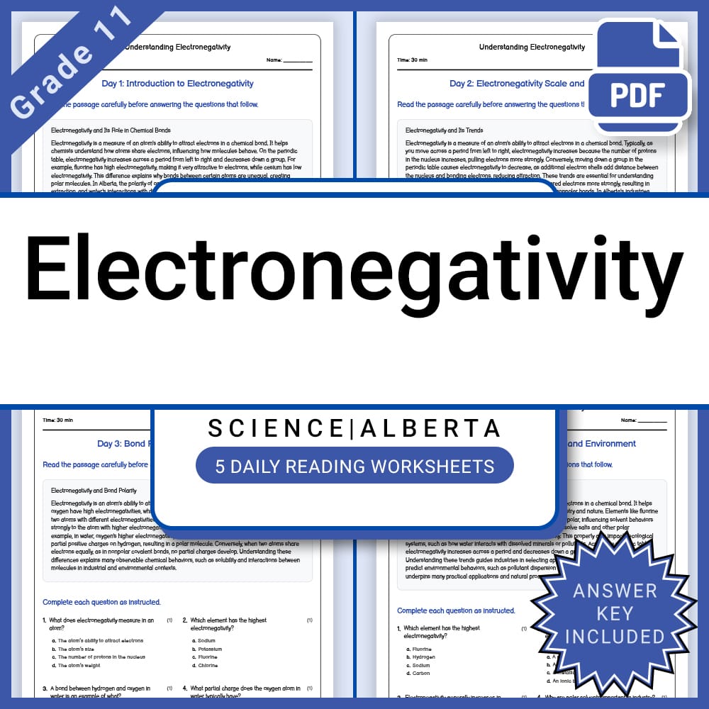 Grade 11 Science Full Year Bundle | Chemistry, Physics & STEM Concepts — included worksheet 50