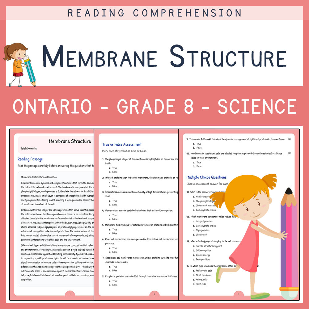 Grade 8 Science worksheet elena worksheet — Grade 8 Science Assessment | Membrane Structure Worksheet Elena | Ontario — pa…