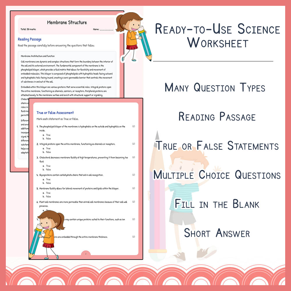 Grade 8 Science worksheet elena worksheet — Grade 8 Science Assessment | Membrane Structure Worksheet Elena | Ontario — pa…